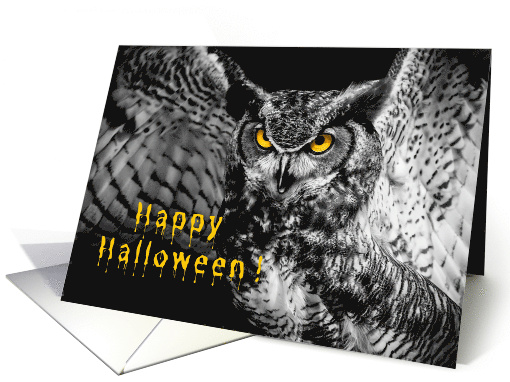 Happy Halloween Owl Nature Spooky Nature Yellow Eyes card (1742392)
