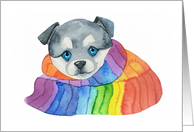 Watercolor Puppy Wrapped in Rainbow Scarf Holiday Christmas Pride LGBT card