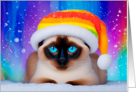 Holiday Siamese Cat...