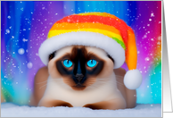 Holiday Siamese Cat in Snow Wearing Rainbow Striped Santa Hat card