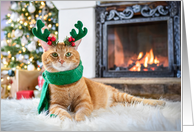Holiday Christmas Orange Tabby Cat Next to Fireplace Wearing Scarf card