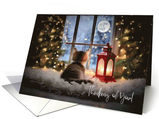 Christmas Holiday Thinking of You Tabby Kitten Cat... (1805006)