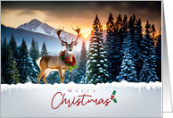 Christmas Holiday Deer with Wreath Pine Trees Snow Mountains Sunset card
