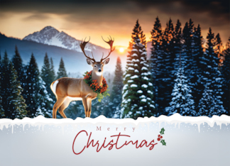 Christmas Holiday...
