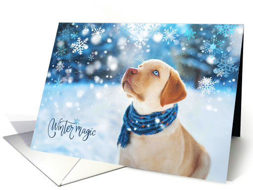 Christmas Holiday Yellow Lab Labrador Dog with Scarf in Snow Pet card