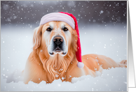Christmas Holiday Golden Retriever in Snow Wearing Red Santa Hat card