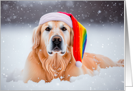 Christmas Holiday Golden Retriever in Snow Wearing Rainbow Santa Hat card