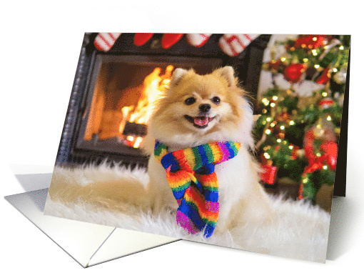 Christmas Holiday Pomeranian Dog with Rainbow Scarf and Fireplace card