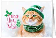 Christmas Holiday Orange Tabby Cat Snowy Peace Joy Love and Snowflakes card