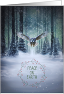 Peace on Earth Great Grey Owl Christmas Holiday Winter Wonderland Bird card