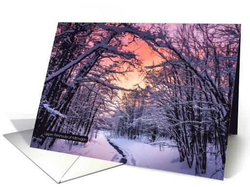 Upper Peninsula in Michigan Card 1 card (1892148)