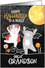 Great Grandson PURRfect Halloween Kitties Trick or Treat card