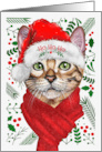 Abyssinian Cat Ho Ho Ho Santa Hat Meowy Christmas Kitty card