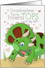 Grandnephew Valentine You’re TriceraTOPS Dinosaur Theme card