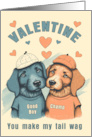 Gay Valentine Cute Male Dogs in Blue and Brown card