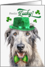 St Patrick’s Day Irish Wolfhound Dog Feelin’ Lucky Clovers card