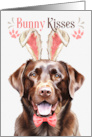Easter Bunny Kisses Chocolate Labrador Retriever Dog in Bunny Ears card
