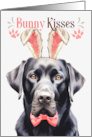 Easter Bunny Kisses Black Labrador Retriever Dog in Bunny Ears card