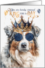 Birthday Australian Shepherd Dog Funny King for a Day card