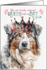 Birthday Australian Shepherd Dog Funny Queen for a Day card