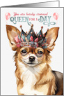 Birthday Long Haired Chihuahua Dog Funny Queen for a Day card