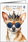 Birthday Smiling Chihuahua Dog Funny King for a Day card