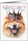 Birthday Chow Chow Dog Funny Queen for a Day card