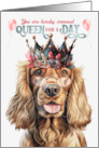 Birthday Cocker Spaniel Dog Funny Queen for a Day card