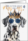 Birthday Dalmatian Dog Funny King for a Day card