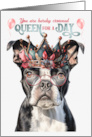 Birthday Boston Terrier Dog Funny Queen for a Day card