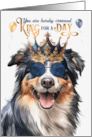 Birthday English Shepherd Dog Funny King for a Day card