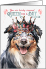 Birthday English Shepherd Dog Funny Queen for a Day card