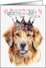 Birthday Golden Retreiver Dog Funny Queen for a Day card