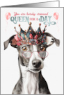 Birthday Greyhound Dog Funny Queen for a Day card