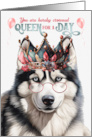 Birthday Husky Dog Funny Queen for a Day card