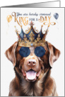 Birthday Chocolate Labrador Retriever Dog Funny King for a Day card