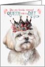 Birthday Happy Maltese Dog Funny Queen for a Day card