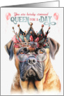 Birthday Happy Mastiff Dog Funny Queen for a Day card