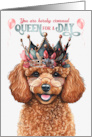 Birthday Tan Toy Poodle Dog Funny Queen for a Day card