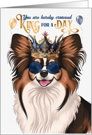 Birthday Papillon Dog Funny King for a Day card