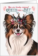 Birthday Papillon Dog Funny Queen for a Day card