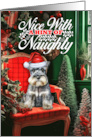 Schnauzer Christmas Dog Nice with a Hint of Naughty card