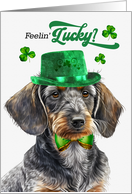 St Patrick’s Day Wirehaired Dachshund Dog Feelin’ Lucky Clovers card