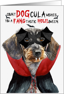 Wirehaired Dachshund Dog Funny Halloween Count DOGcula card