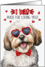 Valentine’s Day Havanese Dog I Was Made for Loving You card