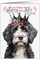 Birthday Portuguese Water Dog Funny Queen for a Day card