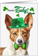 St Patrick’s Day Podengo Dog Feelin’ Lucky Clovers card