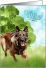 Congratulations reBARKable Belgian Tervuren Dog in the Country card