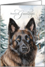 Belgian Tervuren Shepherd Dog Season’s Greetings Woodland Forest card