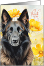 Thank You Belgian Tervuren Shepherd Dog and Golden Poppies card